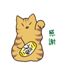 キジトラ猫の毎日使いやすいスタンプ（個別スタンプ：26）