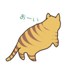 キジトラ猫の毎日使いやすいスタンプ（個別スタンプ：27）