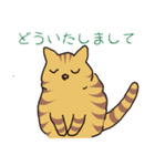 キジトラ猫の毎日使いやすいスタンプ（個別スタンプ：28）