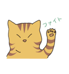 キジトラ猫の毎日使いやすいスタンプ（個別スタンプ：29）