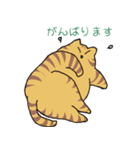 キジトラ猫の毎日使いやすいスタンプ（個別スタンプ：32）