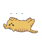 キジトラ猫の毎日使いやすいスタンプ（個別スタンプ：33）