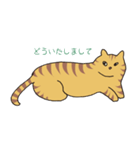 キジトラ猫の毎日使いやすいスタンプ（個別スタンプ：35）