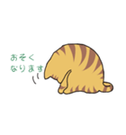 キジトラ猫の毎日使いやすいスタンプ（個別スタンプ：36）
