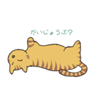 キジトラ猫の毎日使いやすいスタンプ（個別スタンプ：37）