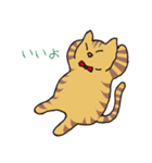 キジトラ猫の毎日使いやすいスタンプ（個別スタンプ：39）