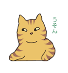キジトラ猫の毎日使いやすいスタンプ（個別スタンプ：40）