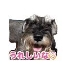 あんずさん、おまめさん、その3。（個別スタンプ：2）
