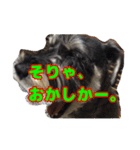 あんずさん、おまめさん、その3。（個別スタンプ：4）