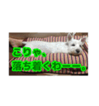 あんずさん、おまめさん、その3。（個別スタンプ：5）
