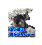 あんずさん、おまめさん、その3。（個別スタンプ：6）