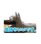 あんずさん、おまめさん、その3。（個別スタンプ：7）