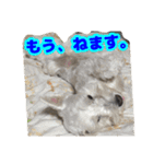 あんずさん、おまめさん、その3。（個別スタンプ：8）