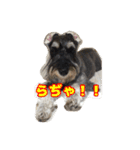 あんずさん、おまめさん、その3。（個別スタンプ：13）