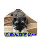 あんずさん、おまめさん、その3。（個別スタンプ：15）