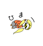 めがねちゃん。（個別スタンプ：15）