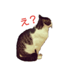 ぐれちゃんご一行様（個別スタンプ：10）