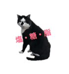 ぐれちゃんご一行様（個別スタンプ：13）