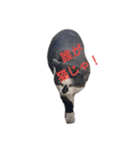 ぐれちゃんご一行様（個別スタンプ：15）