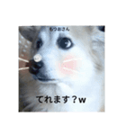もつおちゃん（個別スタンプ：5）