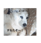 もつおちゃん（個別スタンプ：8）