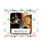 黒柴七の日常でよく使う言葉 1（個別スタンプ：15）