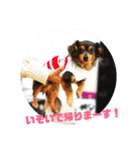 チワックスのミートくん①改（個別スタンプ：5）