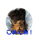 チワックスのミートくん①改（個別スタンプ：11）
