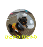 チワックスのミートくん①改（個別スタンプ：14）