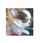 らーちゃんいらいら（個別スタンプ：5）