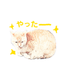 野良猫だって（個別スタンプ：2）