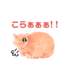 野良猫だって（個別スタンプ：5）