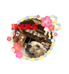 ムーのスタンプ2（個別スタンプ：3）