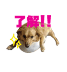 ムーのスタンプ2（個別スタンプ：14）
