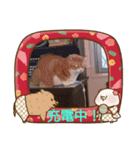 ふうちゃん(その2)（個別スタンプ：2）
