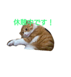 ふうちゃん(その2)（個別スタンプ：5）