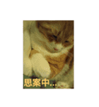 ふうちゃん(その2)（個別スタンプ：9）