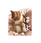 むぎくんスタンプ 2（個別スタンプ：1）