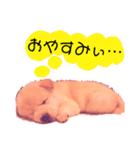 わんこくらぶ（個別スタンプ：6）