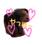 Lafin2（個別スタンプ：2）