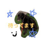 Lafin2（個別スタンプ：4）