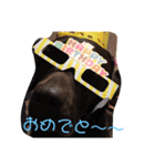 Lafin2（個別スタンプ：11）