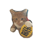 RAI.rai（個別スタンプ：5）