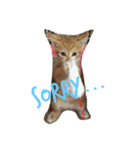 RAI.rai（個別スタンプ：12）