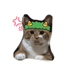 RAI.rai（個別スタンプ：17）