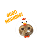 RAI.rai（個別スタンプ：20）