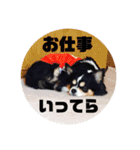 蓮 生まれは 秋田（個別スタンプ：15）
