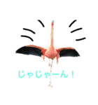 可愛い！動物のスタンプ（個別スタンプ：6）