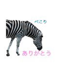 可愛い！動物のスタンプ（個別スタンプ：7）