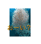 可愛い！動物のスタンプ（個別スタンプ：18）